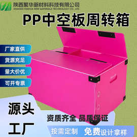 陜西西安紙箱新選擇 免膠帶紙箱引領(lǐng)綠色包裝新潮流